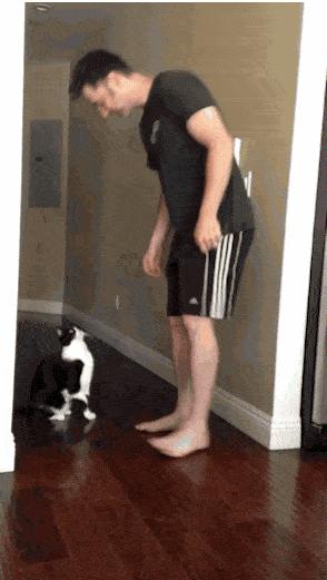 健身房有多乱知乎,健身房真的乱吗知乎后续