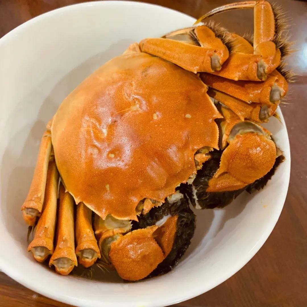 动物百科知识螃蟹最爱吃什么,螃蟹的生活习性科普