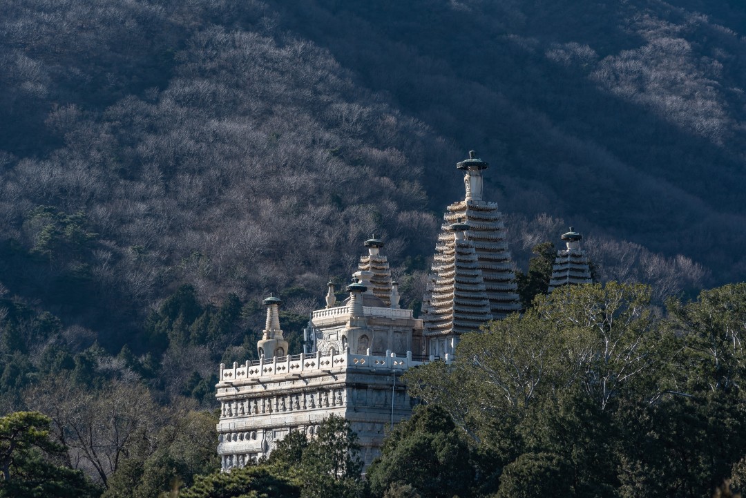 太监晚年的样子,太监晚年要做什么