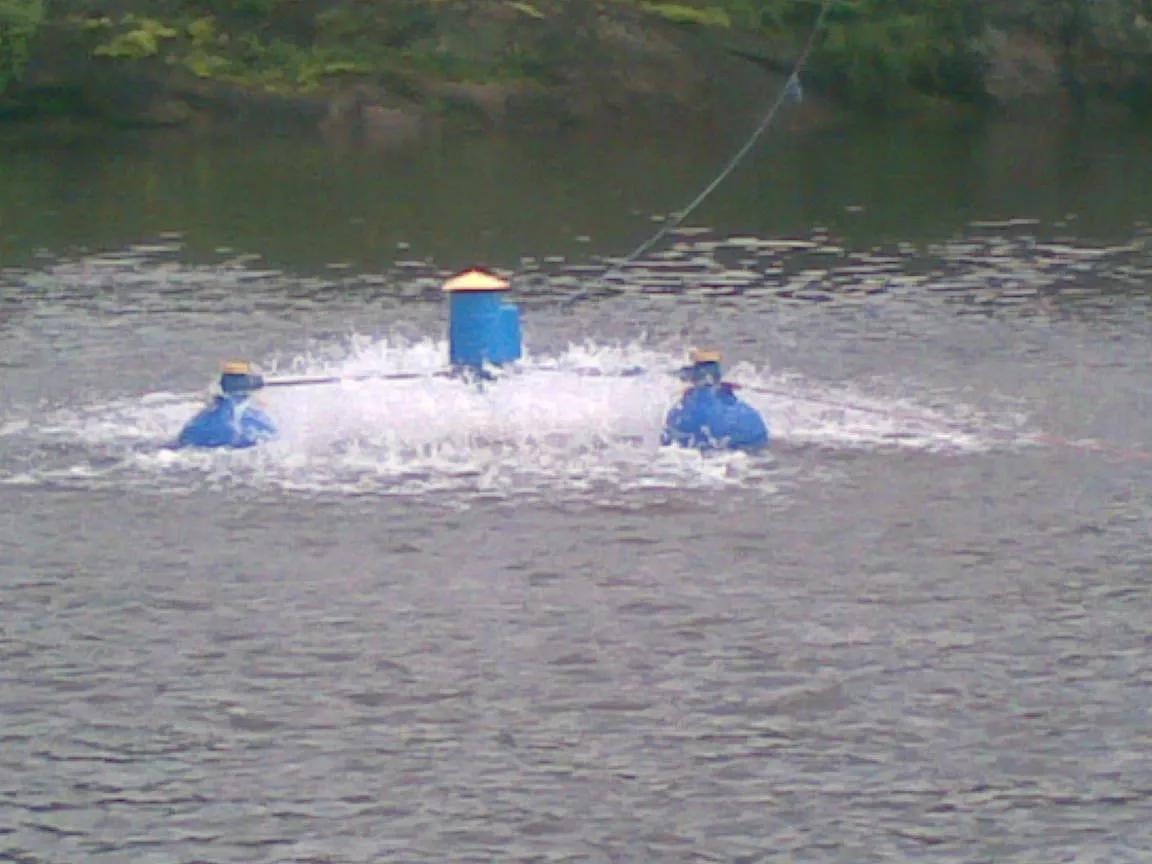 鱼塘养的鱼为什么会死,鱼塘里的鱼偶尔死一个是怎么回事