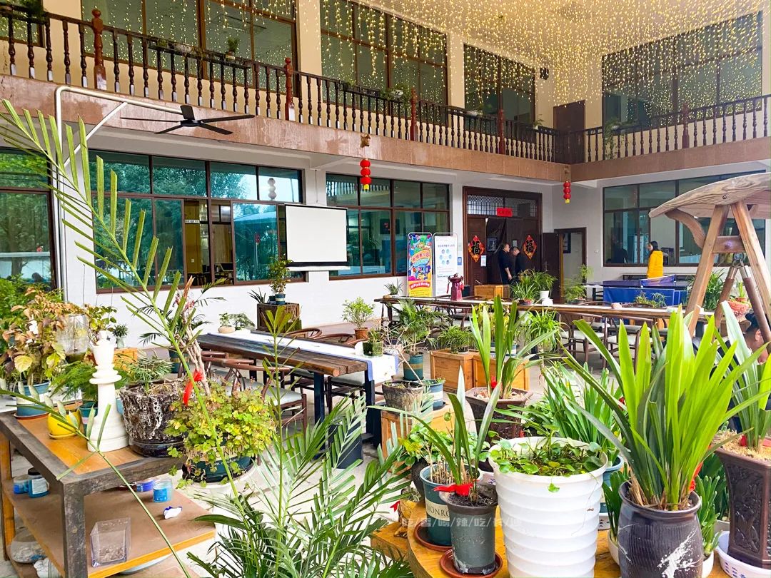 长沙攻略避开人群,收藏长沙