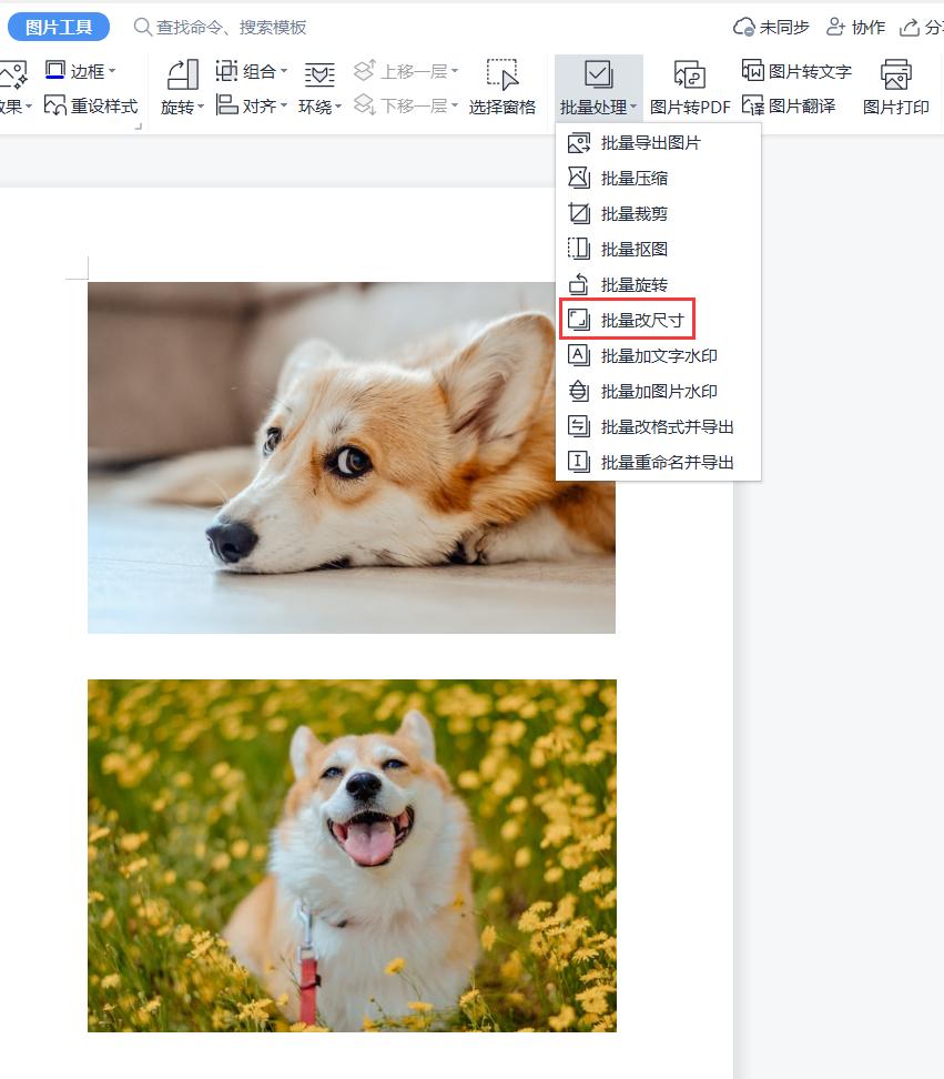 wps文字：文档中的多张图片如何批量修改尺寸大小？