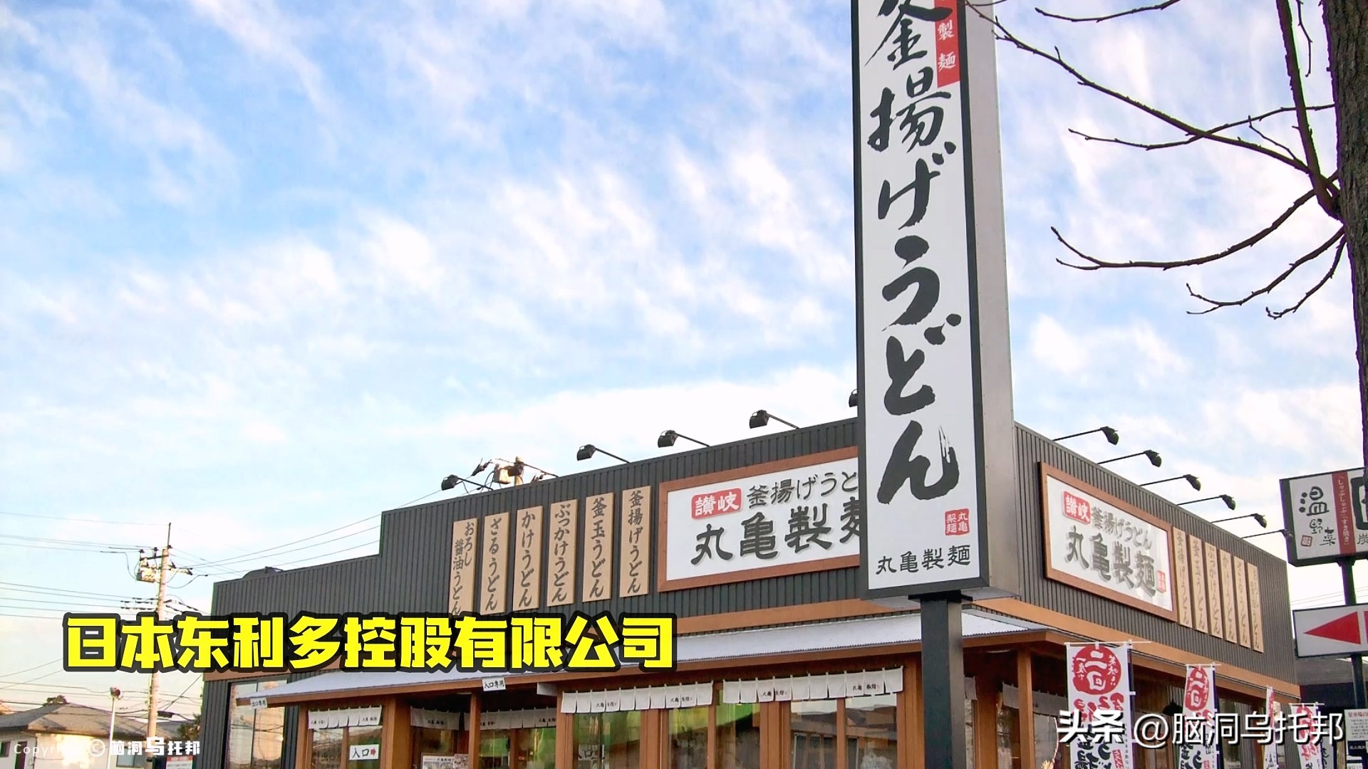 名媛案件过程,名媛碎尸案来龙去脉