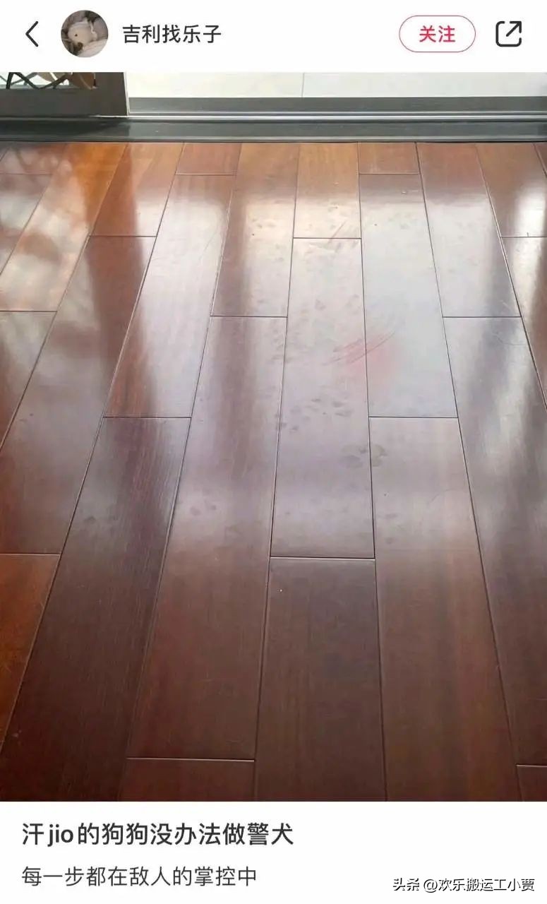 花5000给女友花买了条牛仔裤,看到实物,奶奶都不知道怎么补了