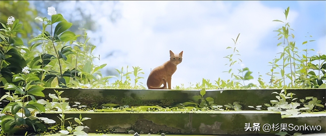 《迷失》评测：你想在赛博朋克世界做一只可爱猫猫吗？