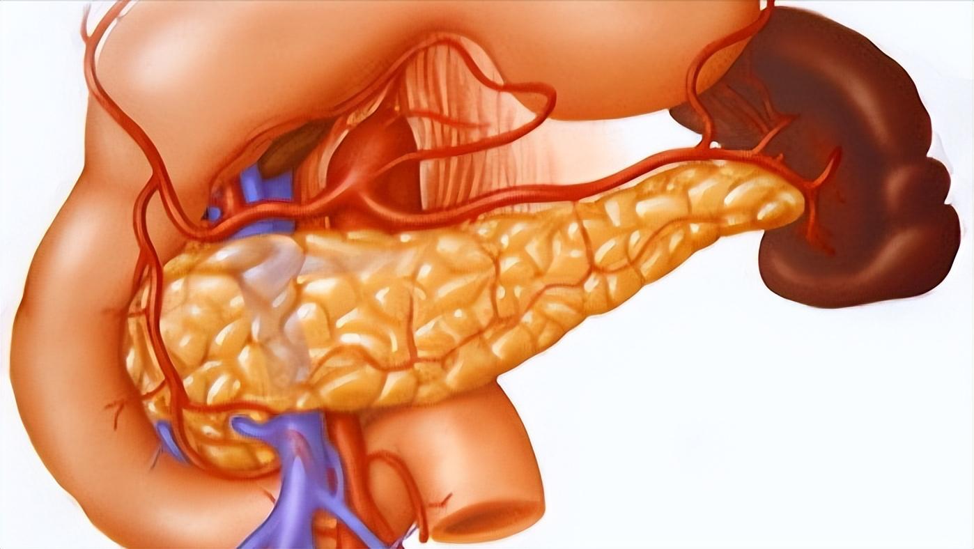 空腹血糖与糖化血红蛋白哪个为准,空腹餐后血糖都正常糖化血红蛋白