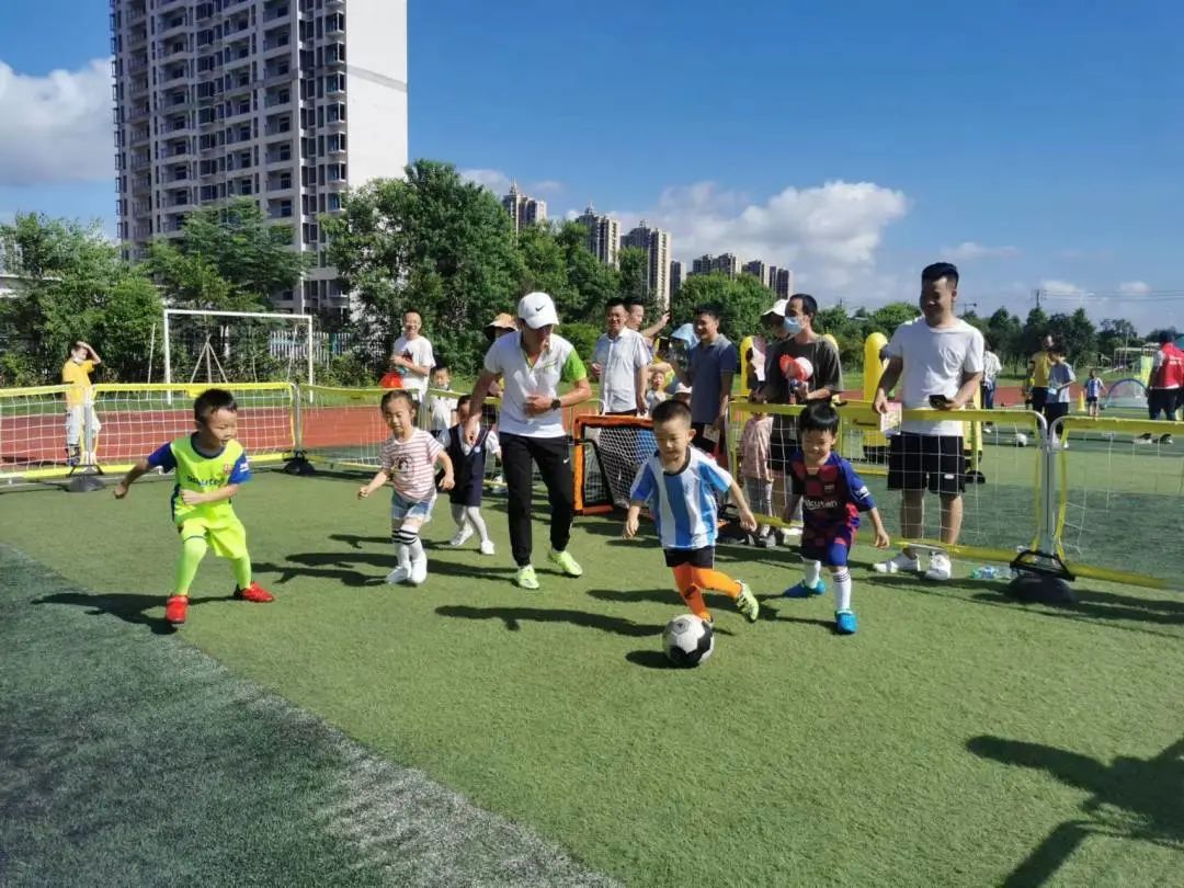 派迪茵体育产品,派迪茵体育直播