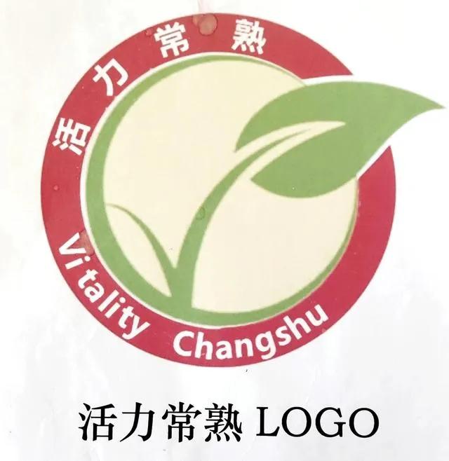 江苏常熟市商城小学舞蹈《成长在祖国的怀抱里》荣获三等奖