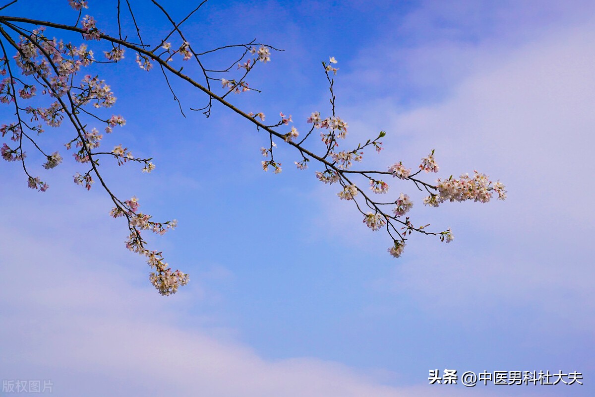 软男性格如何改变,软男的表现