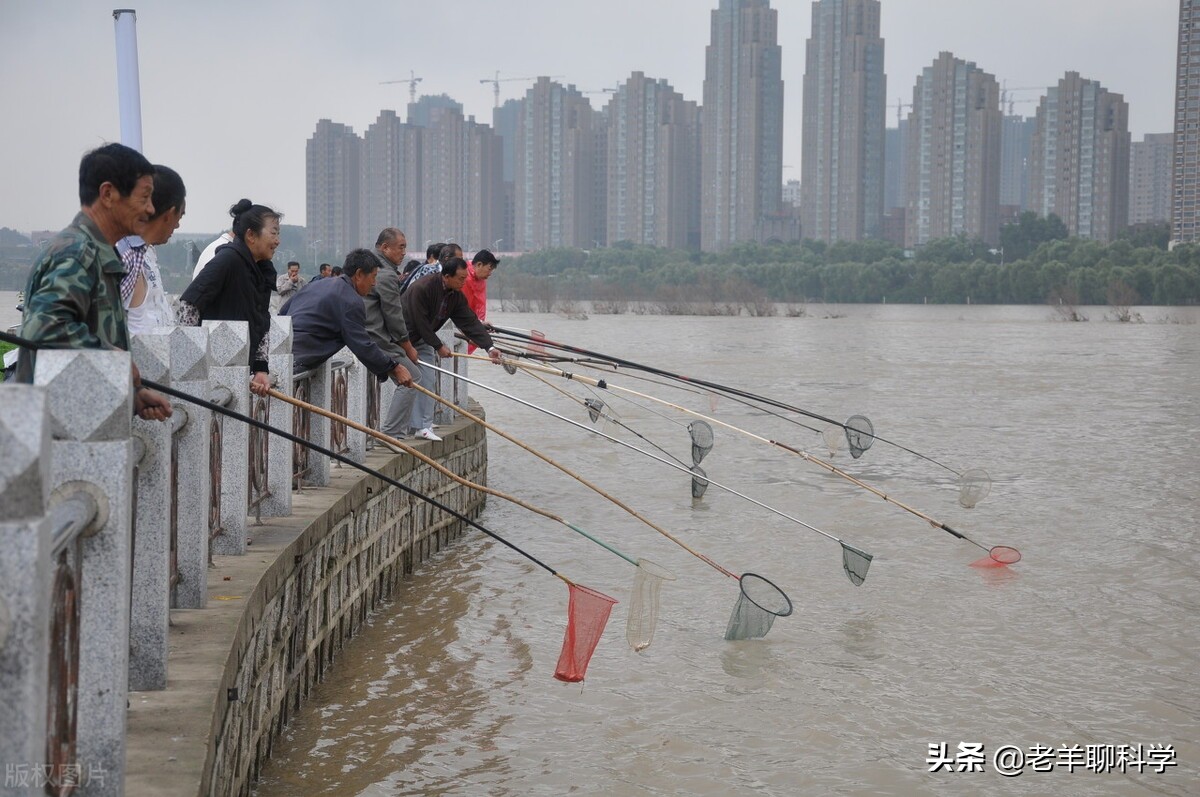 钓鱼遇上放生的人,钓鱼遇放生人视频