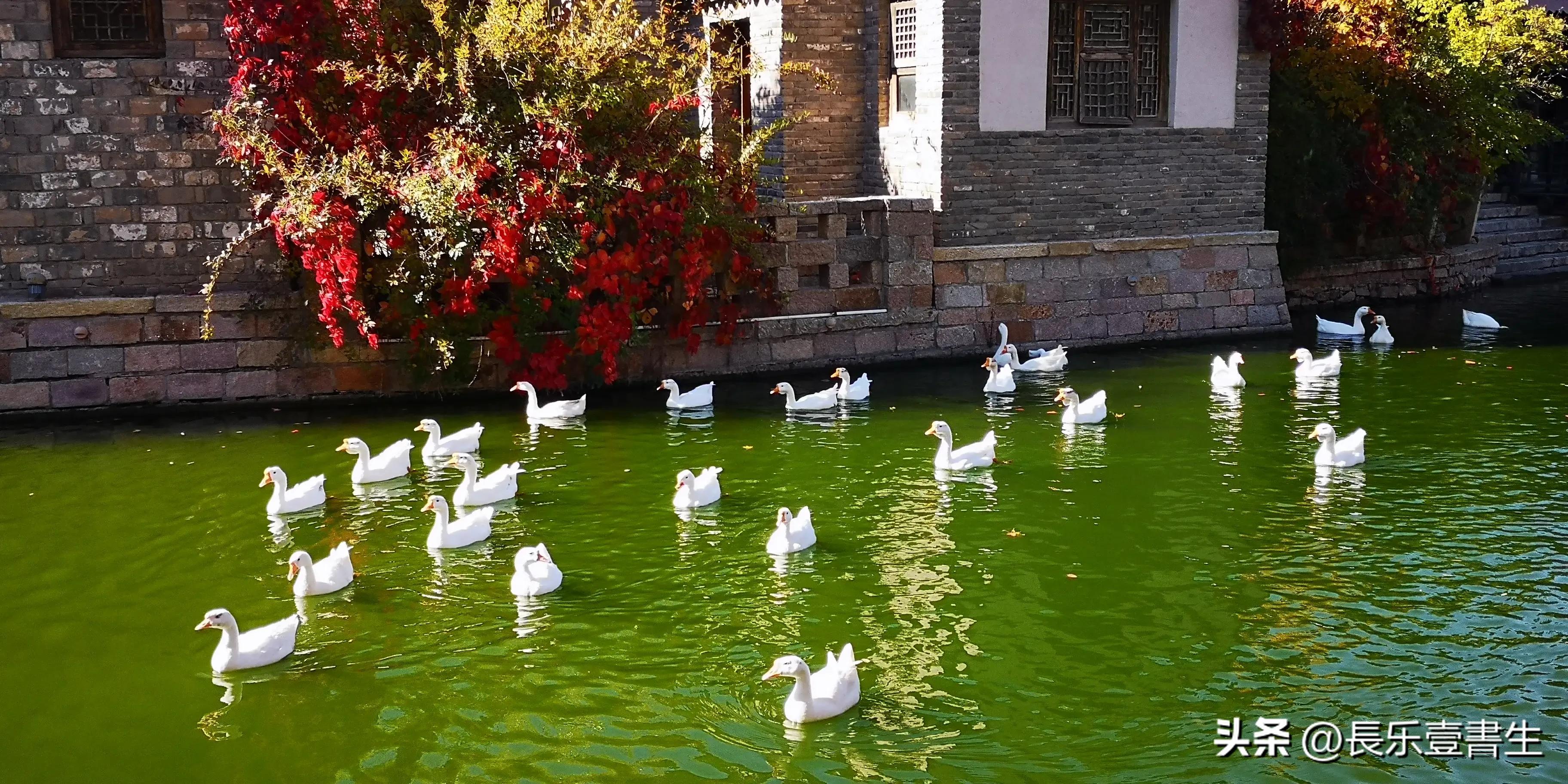 古北水镇二日游景点,古北水镇二日游自驾票
