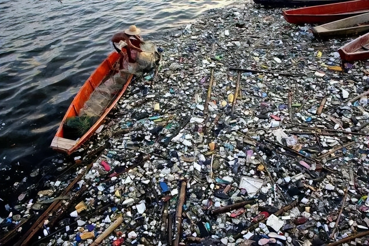 许倬云你要自己处理自己的问题,许倬云前所未有的复杂世界