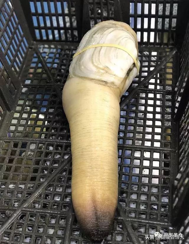 海鲜贝类品种大全及名字,22种海鲜贝类做法大全