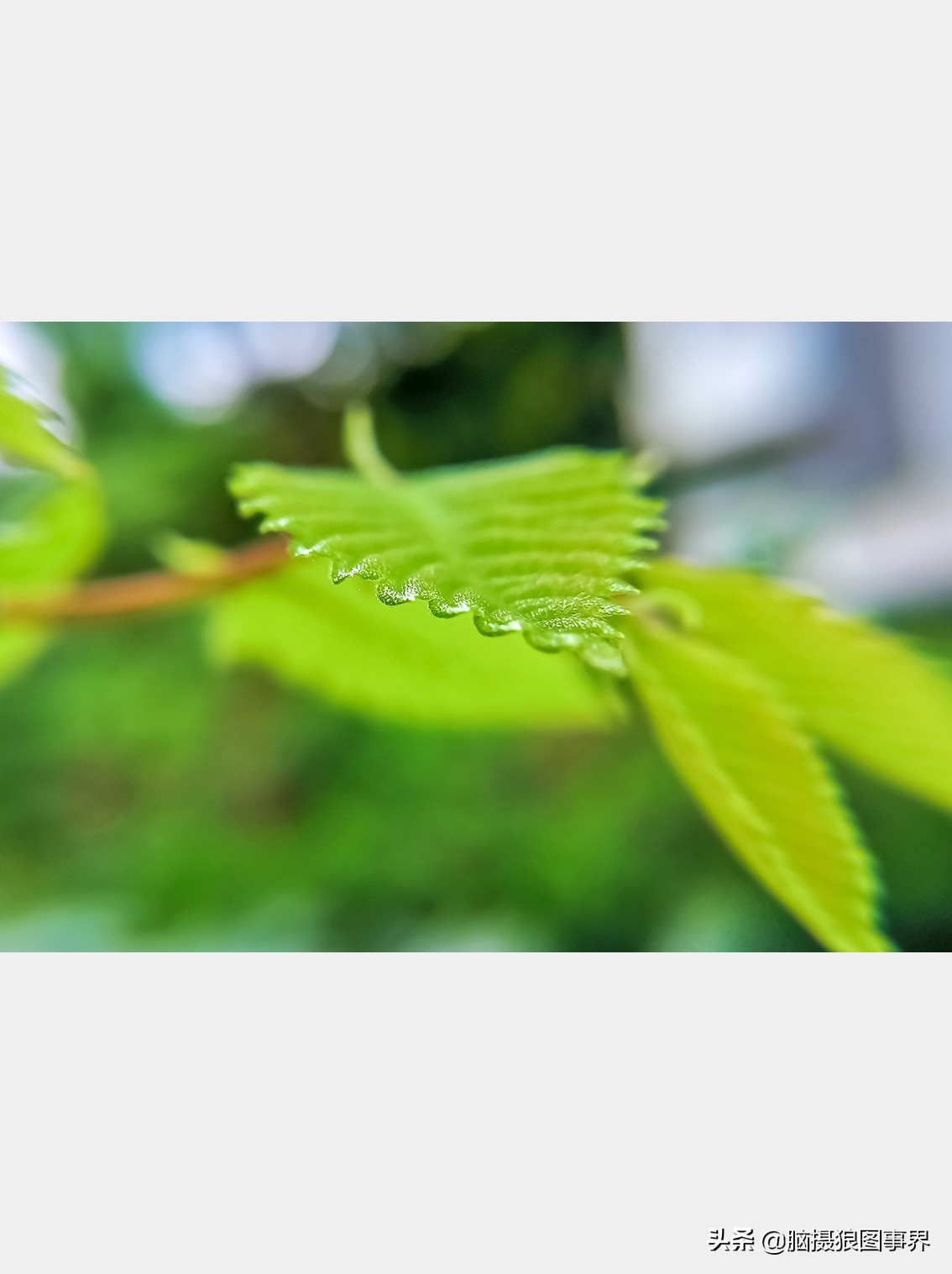 手机拍照不清晰怎么才能拍的好看,vivo手机拍照模糊怎样才能变清晰