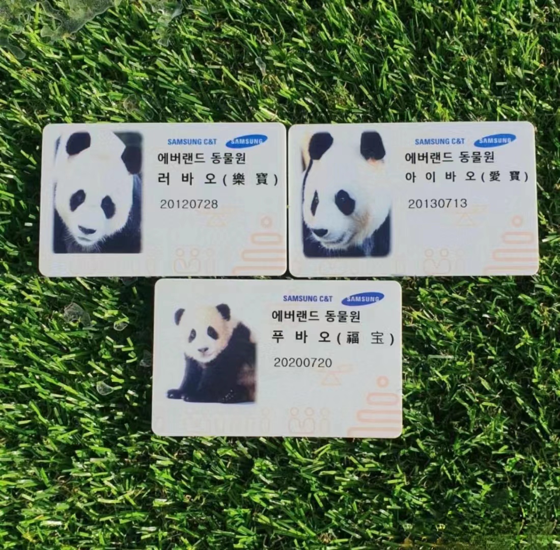 近期福宝和姜爷爷的视频,福宝回国姜爷爷和宋爷爷上热搜