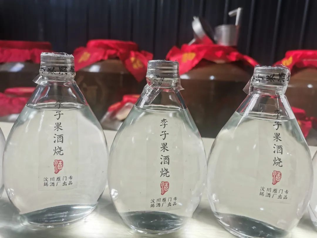 乡村振兴汶川县,我眼中的乡村振兴创业青年