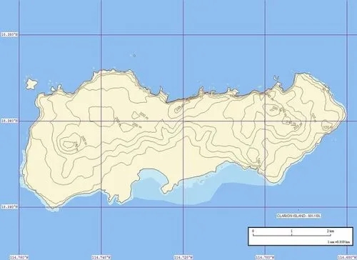 索科罗岛美利奴羊羔的形态描述和体重预测