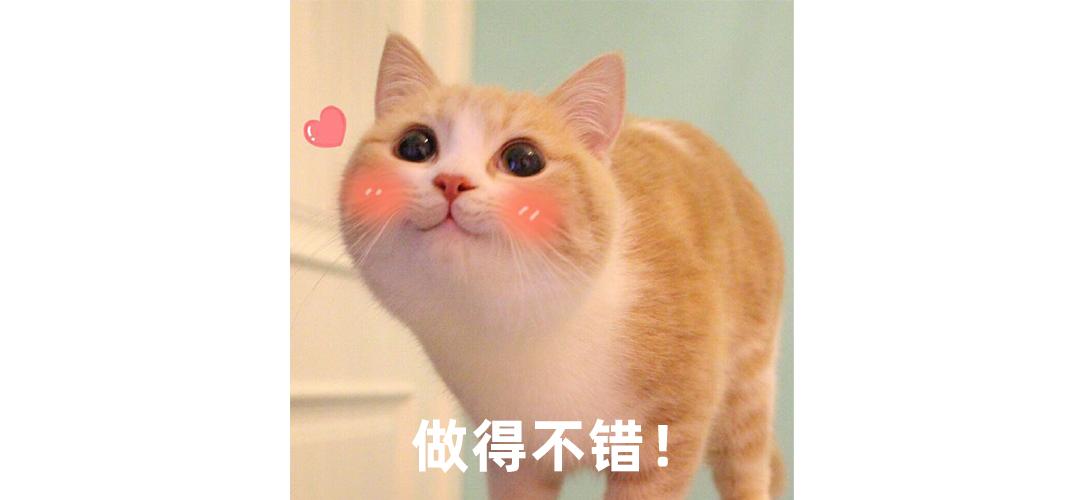 猫砂甲醛排行,纯福猫砂甲醛超标