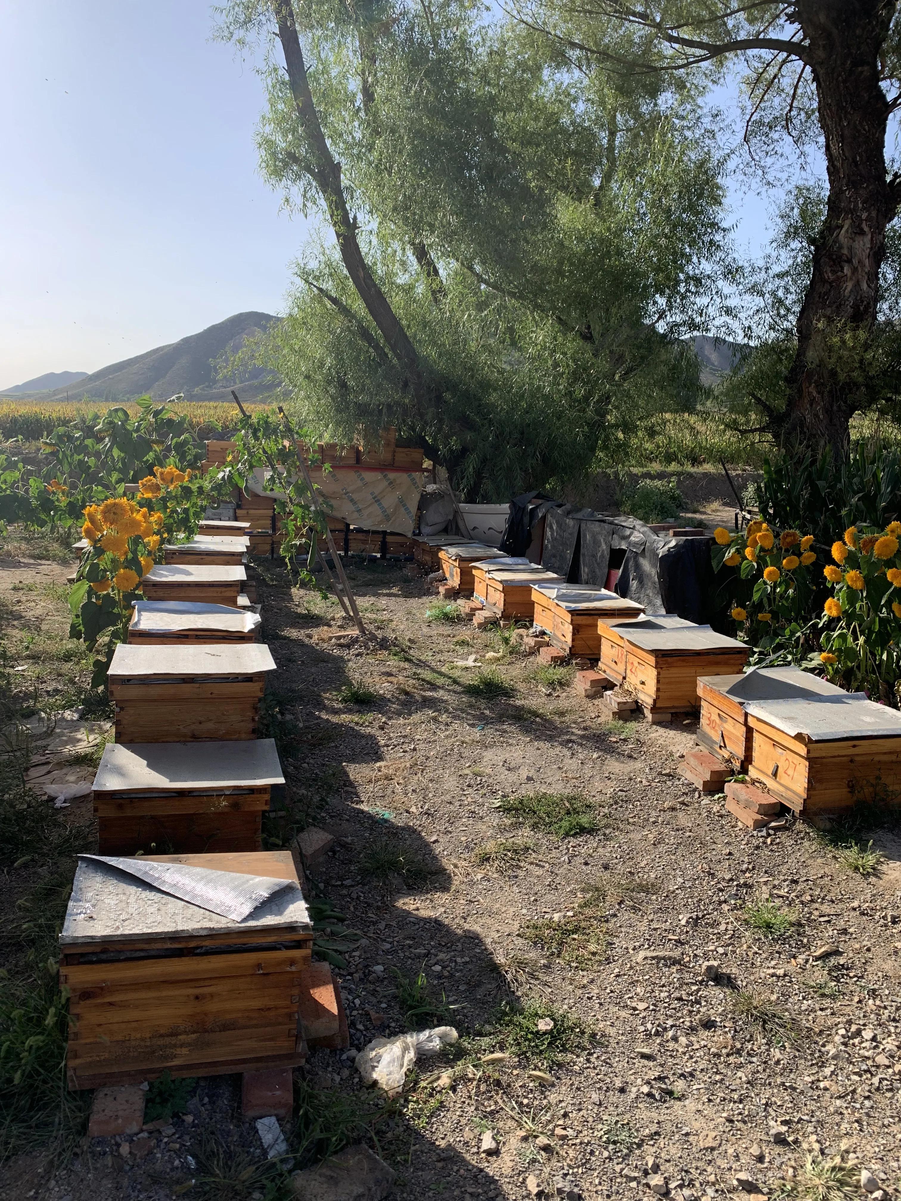 寮犲鍙ｅ競瀹ｅ寲鍘挎潕澶т汉搴勬潃浜烘,瀹ｅ寲鏉庡ぇ浜哄簞鍦板悕鏉ュ巻