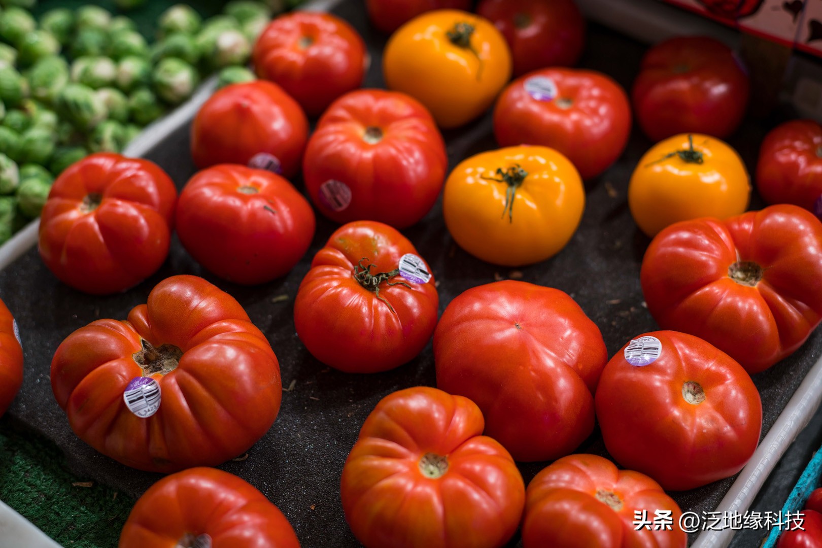 食用食品加工技术,食品加工的方法和技巧