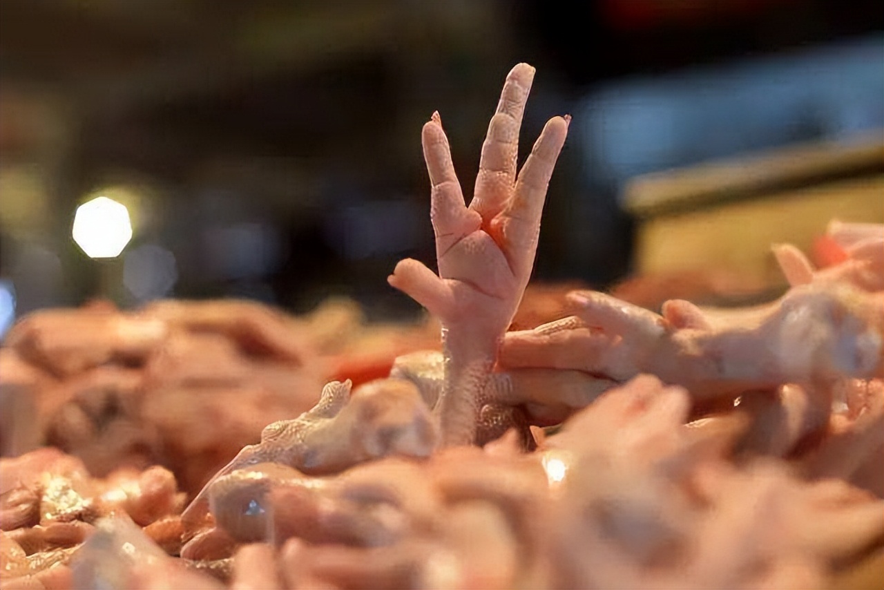 在中国用来喂猪的玉米芯,在中国喂猪的玉米棒子