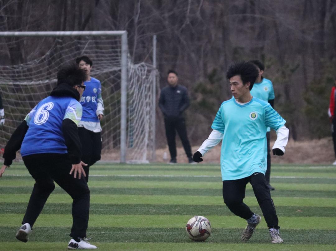 加油世界杯,加油巴西世界杯