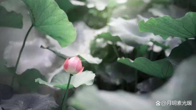 怎么刷自己的信用卡,自己怎样玩转信用卡