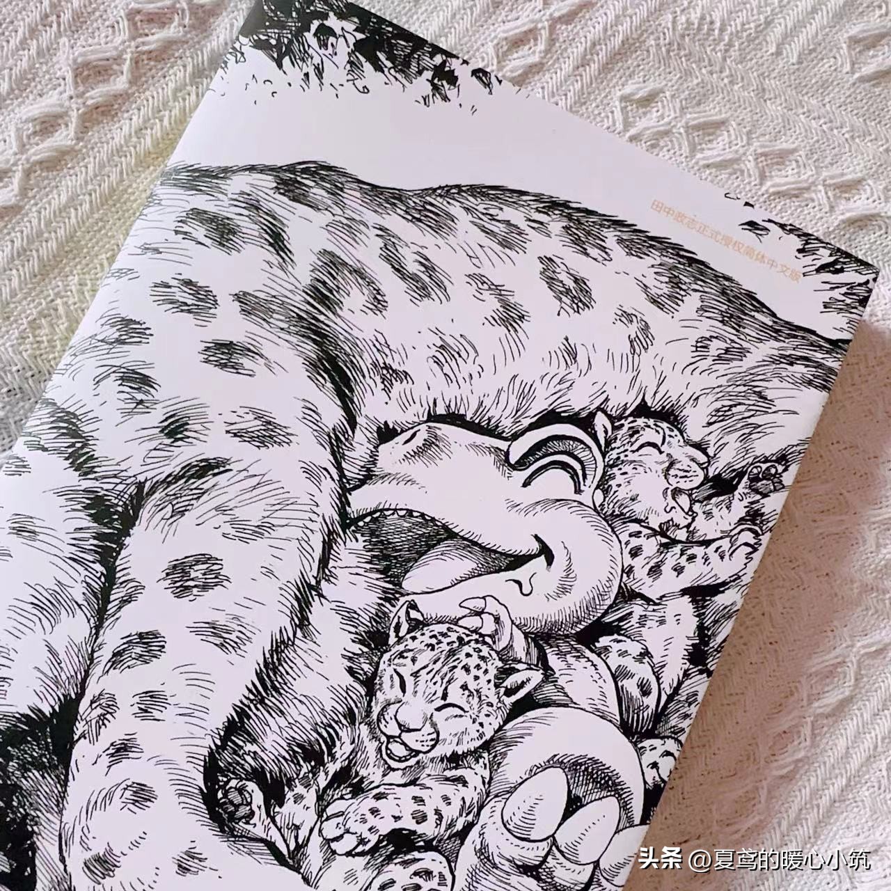 勇气与决心，成就你的梦想，跟着阿贡一起实现