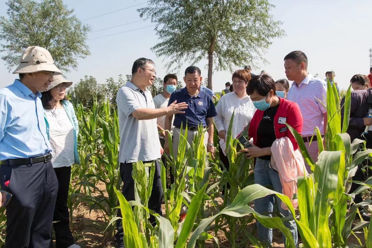 河南重大公益性科研专项防控“幺蛾子”效果显著