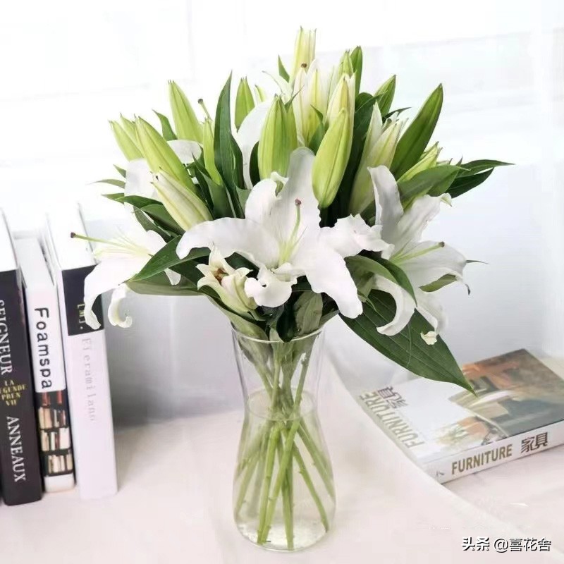 鲜花认识及养护第1：百合花——纯洁、高雅、芳香馥郁的花中女王