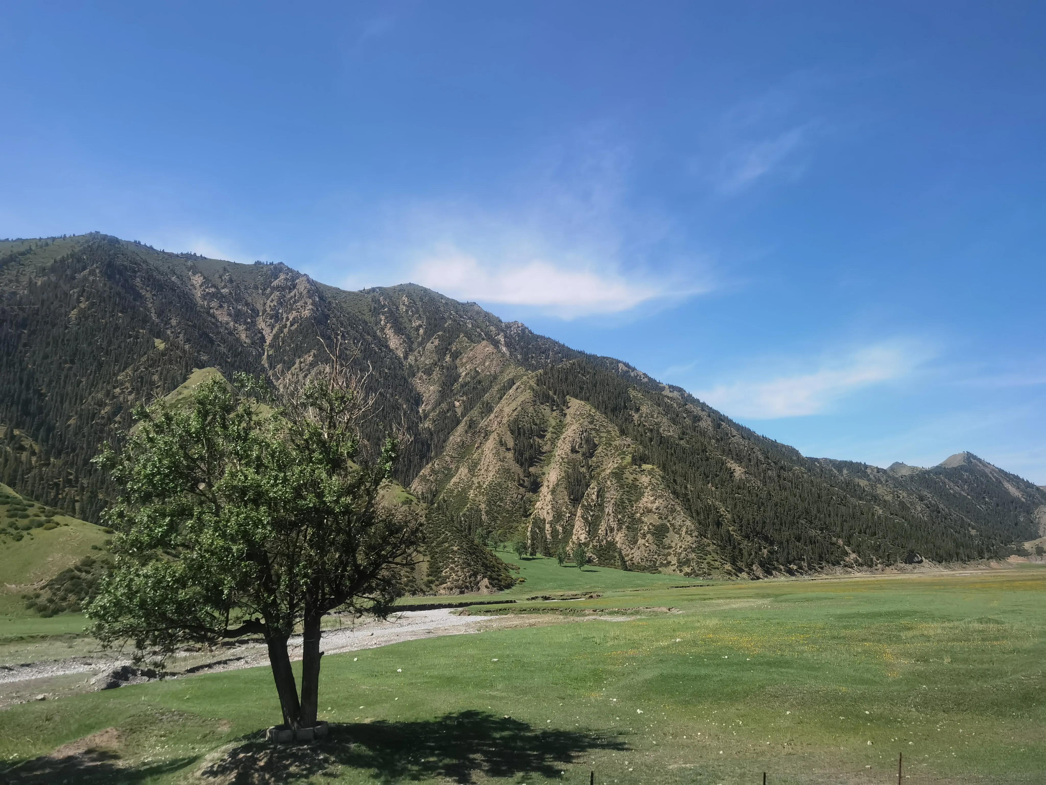 来疆旅游好玩吗,疆内现在可以旅游吗