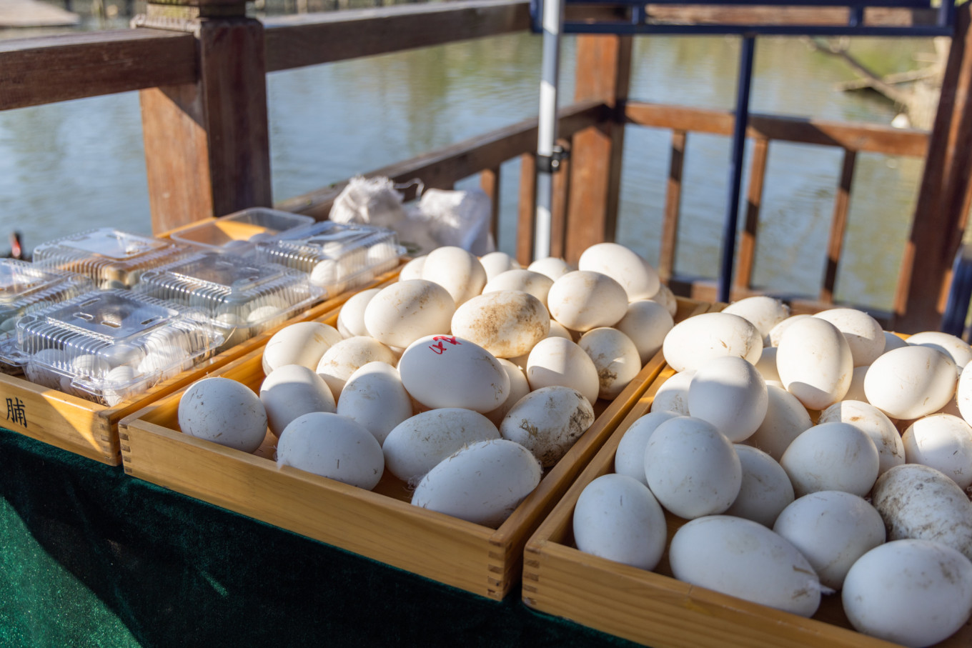 春日下江南杭州,春日下江南古镇