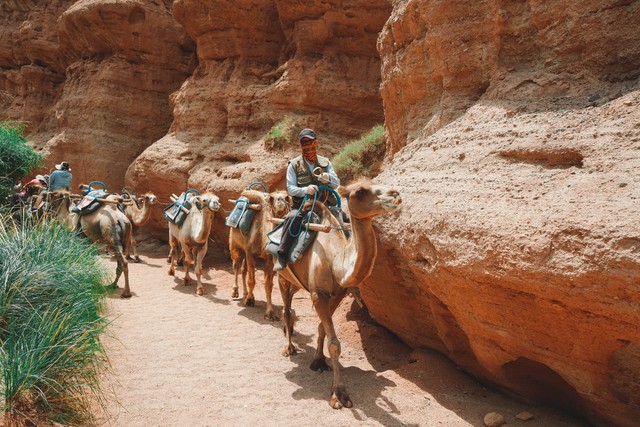 38小时速听速记雅思词汇,每天30分钟学习英语语法