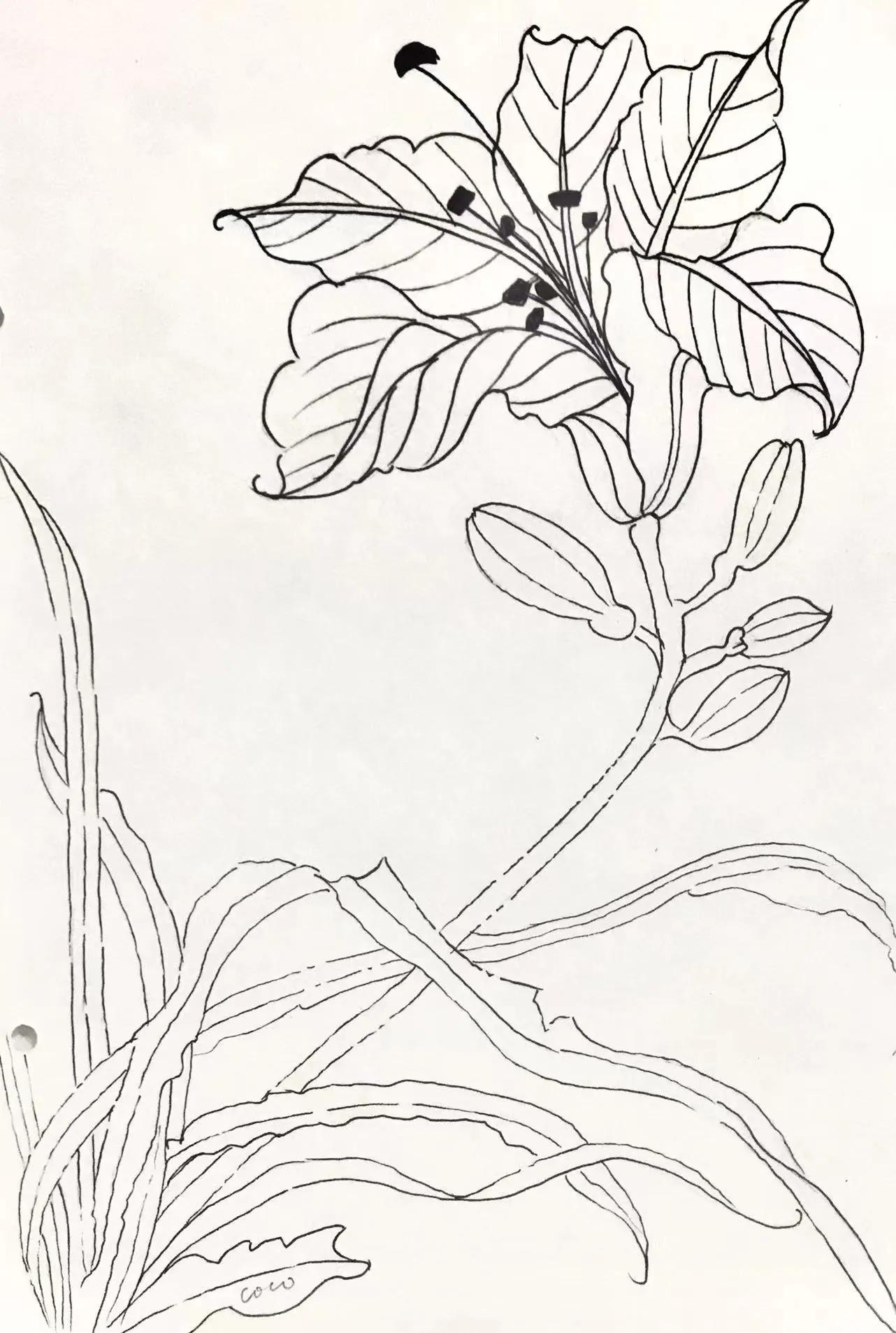 幸福原创创意画,幸福原创绘画作品欣赏