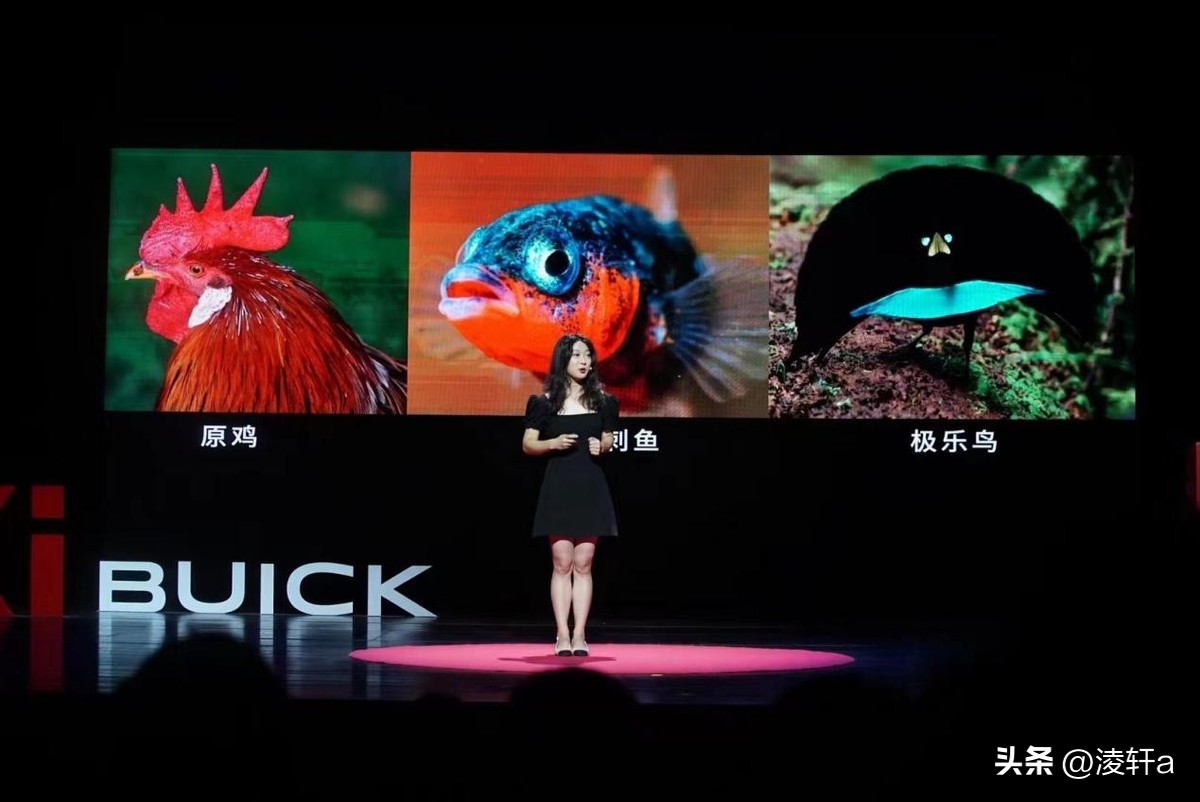 研究100种动物“*生活性**”后，牛津女博士发现人类与动物大同小异