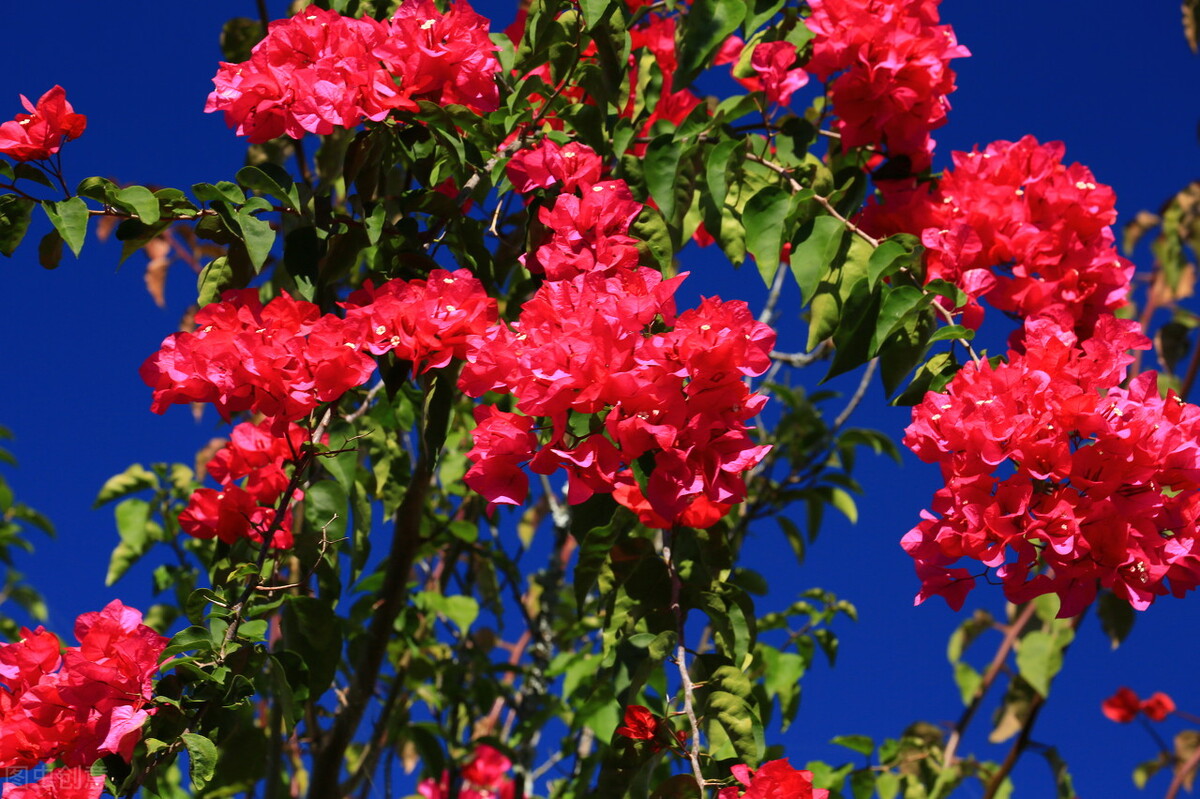 5个存钱小妙招让你的钱越存越多,普通人的15个存钱技巧