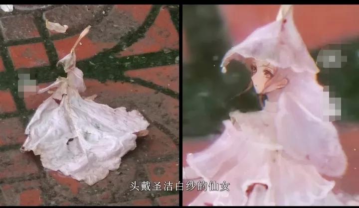 云表情慢慢变粉的表情,云表情包动图