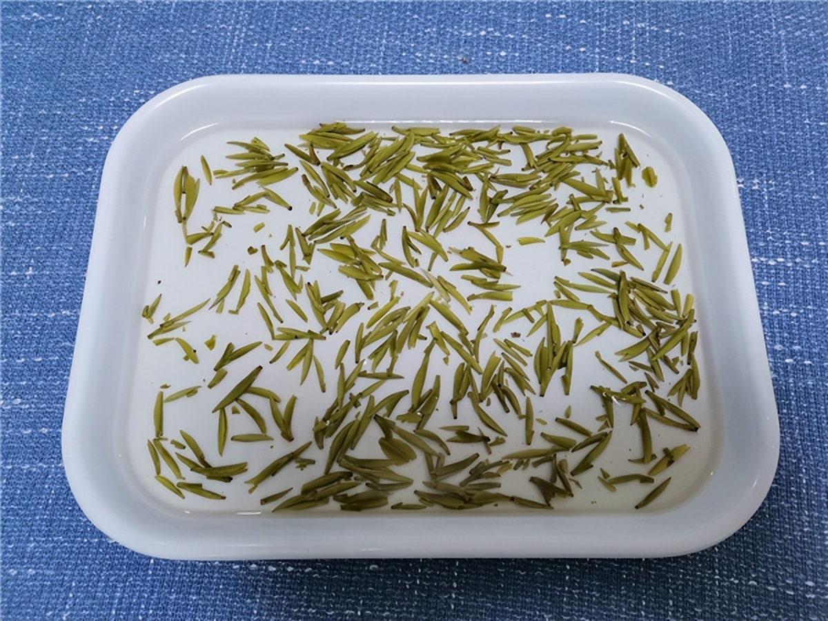 竹叶青茶叶口感特点,竹叶青茶叶为什么这么有名