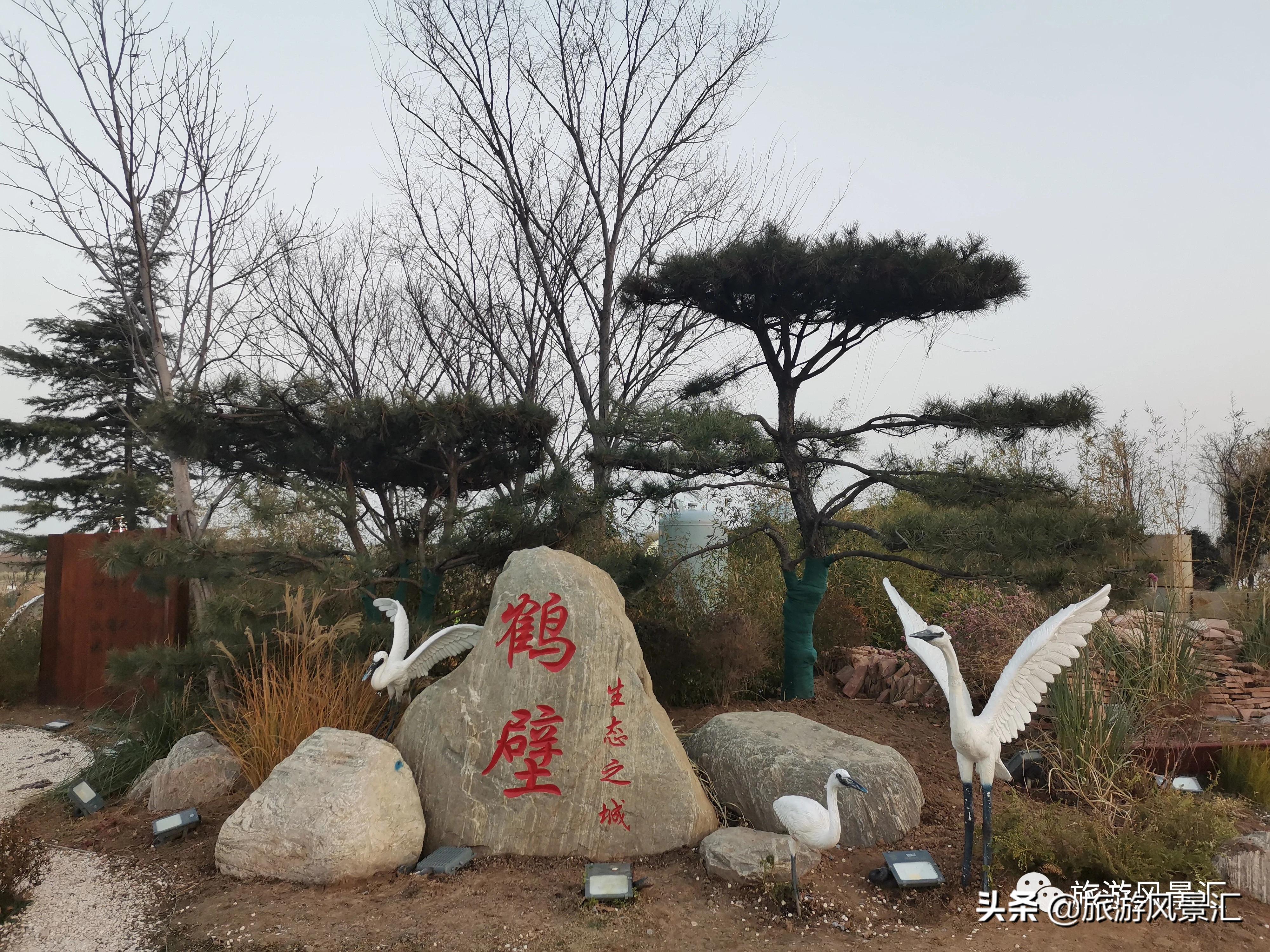 郑州带娃打卡好去处免费公园,郑州北龙湖湿地公园网红打卡圣地