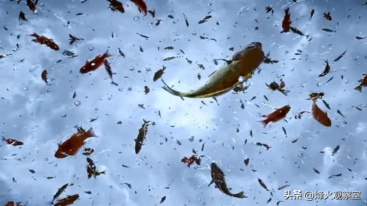 外交部对洪都拉斯表态表示欢迎,洪都拉斯与中国建交互派大使