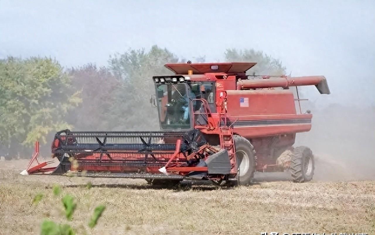 河南禁收花生相关责任人怎么处罚,河南禁收花生