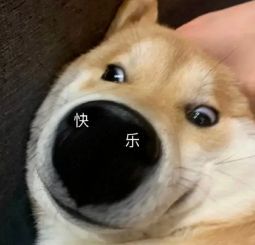 2023考研合理时间安排,考研延期考试