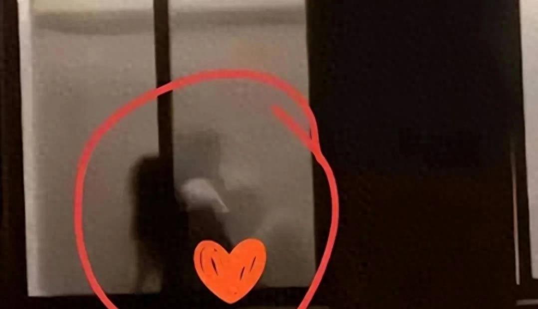 辽宁东北大学小树林事件,东北大学小树林事件