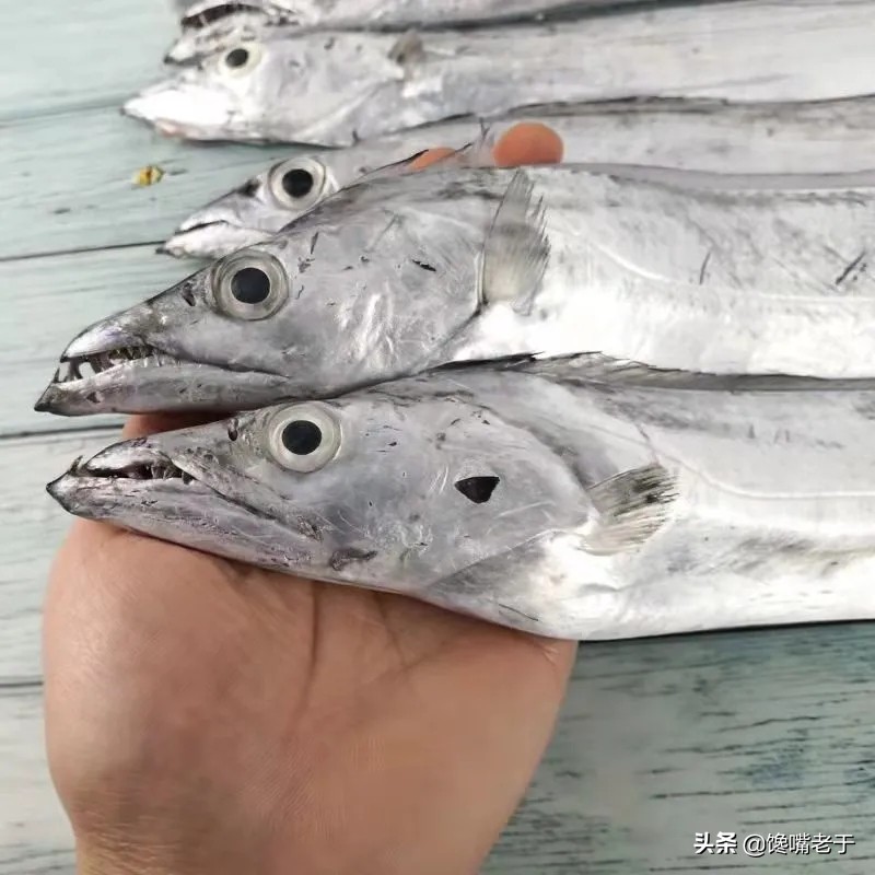 买带鱼注意这几个地方,买带鱼眼珠黑好还是白好
