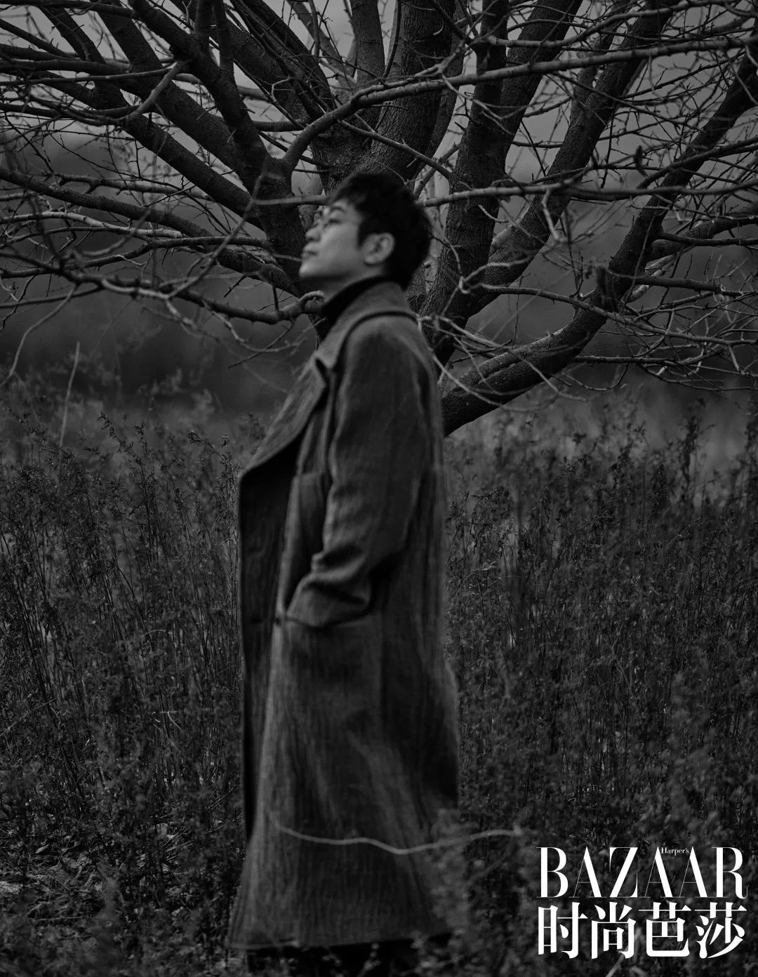 大鹏的所有剧,大鹏的精彩电影