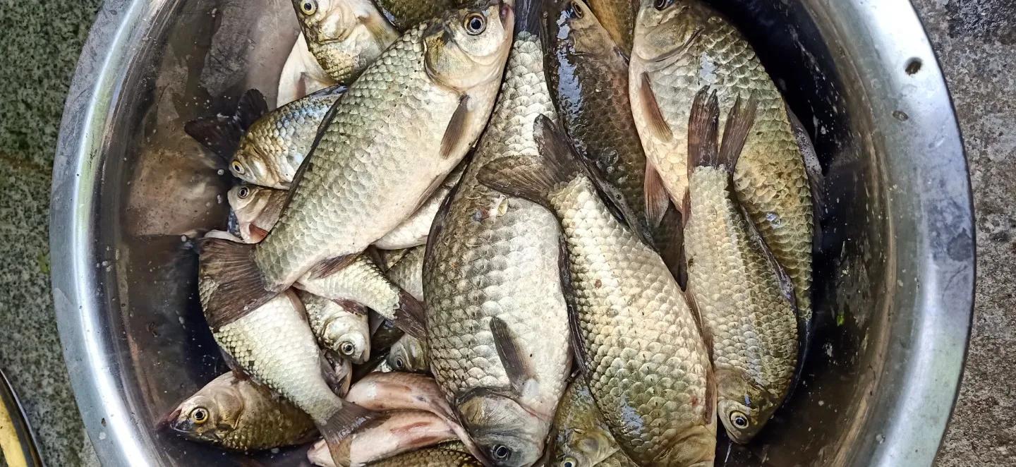 尴尬人遇尴尬事,尴尬人碰上尴尬事