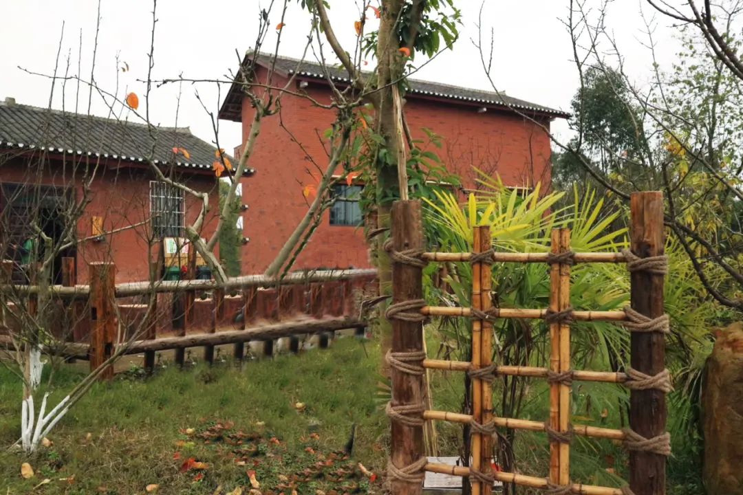 重庆长寿周围赏花旅游景点,重庆长寿旅游景点攻略