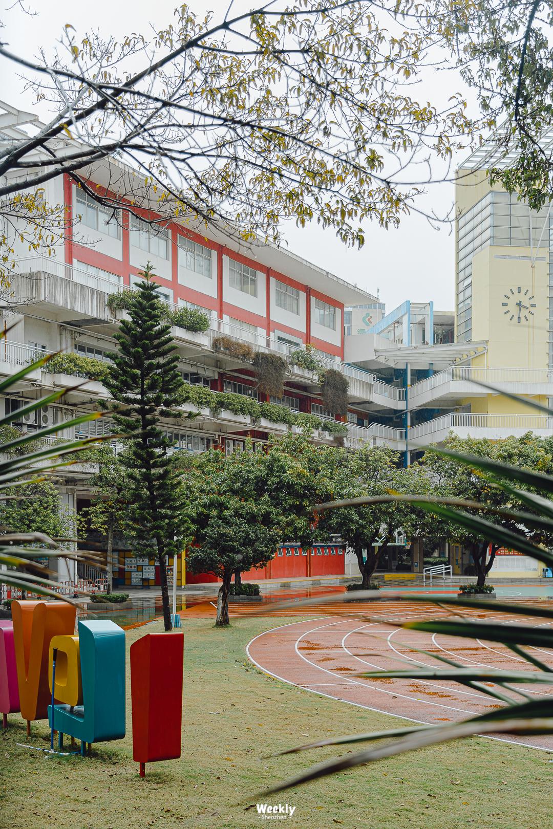 好好走过红荔路，才知道住福田有多让人羡慕
