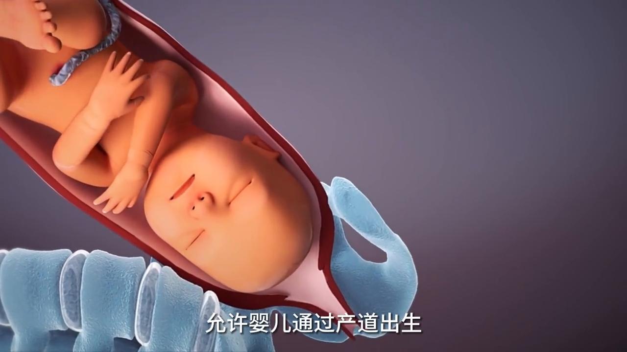 分娩全部过程有多痛呢,你知道分娩很危险吗