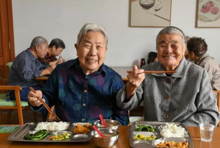 英国的养老制度运作方式,英国养老政策的优势和劣势